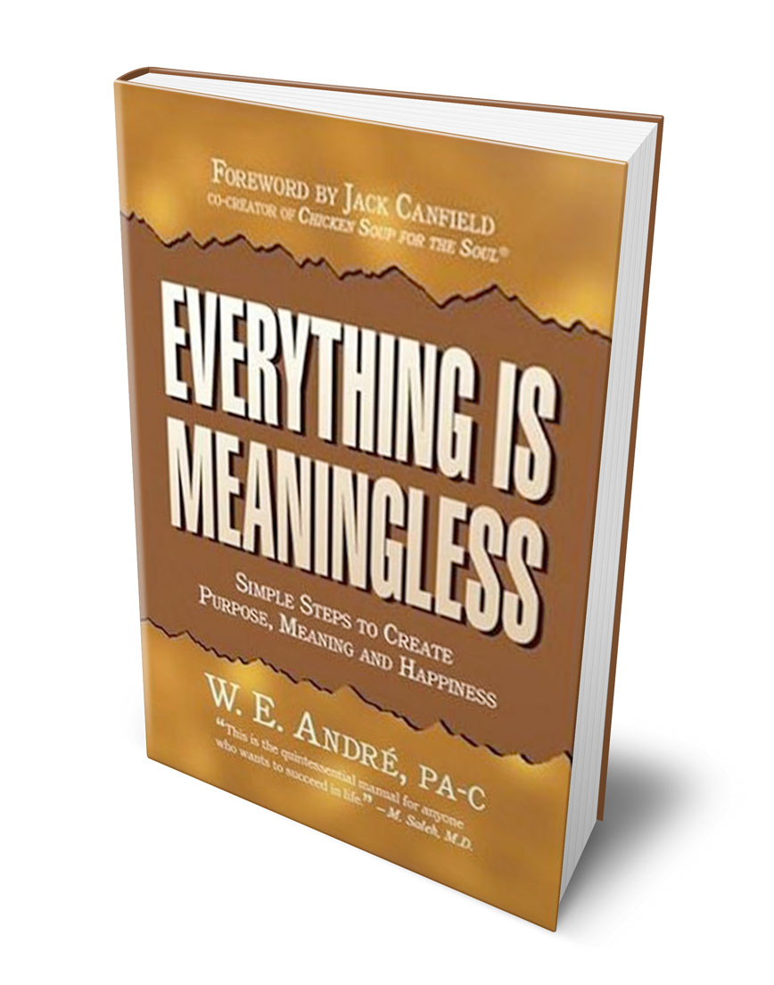 everything-is-meaningless-book